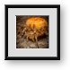 Buy Framed Print