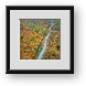 Buy Framed Print