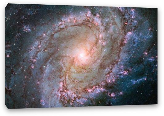 Hubble view of barred spiral galaxy Messier 83 Fine Art Canvas Print