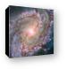 Hubble view of barred spiral galaxy Messier 83 Canvas Print