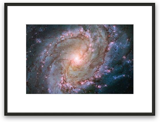 Hubble view of barred spiral galaxy Messier 83 Framed Fine Art Print