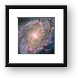 Hubble view of barred spiral galaxy Messier 83 Framed Print