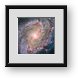 Buy Framed Print