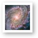 Hubble view of barred spiral galaxy Messier 83 Art Print