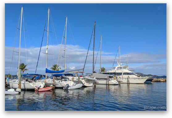 Boats in Red Hook Marina Fine Art Print