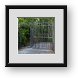 Buy Framed Print