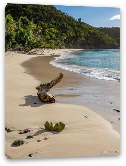 Oppenheimer Beach Fine Art Canvas Print