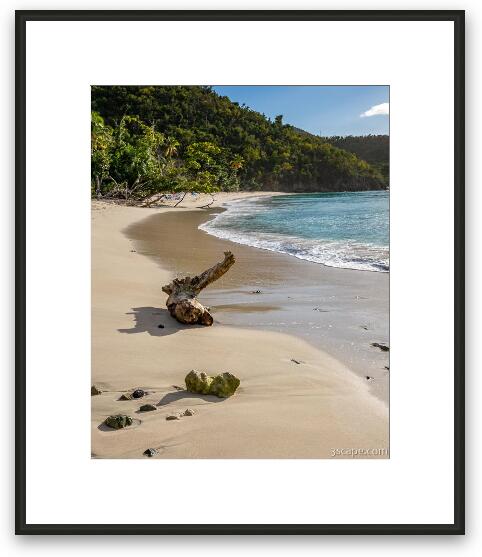 Oppenheimer Beach Framed Fine Art Print