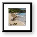 Buy Framed Print