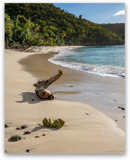 Oppenheimer Beach Fine Art Metal Print