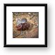 Buy Framed Print