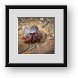 Buy Framed Print