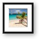 Honeymoon Beach Palm Tree Framed Print