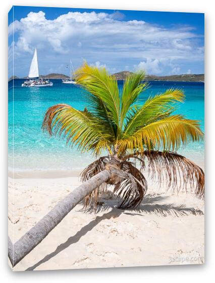 Honeymoon Beach Palm Tree Vertical Fine Art Canvas Print