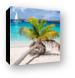 Honeymoon Beach Palm Tree Vertical Canvas Print