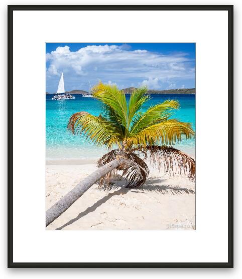 Honeymoon Beach Palm Tree Vertical Framed Fine Art Print