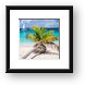 Honeymoon Beach Palm Tree Vertical Framed Print