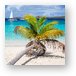 Honeymoon Beach Palm Tree Vertical Metal Print