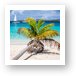 Honeymoon Beach Palm Tree Vertical Art Print