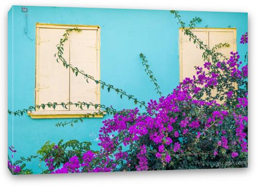 Windows and Flowers Fine Art Canvas Print