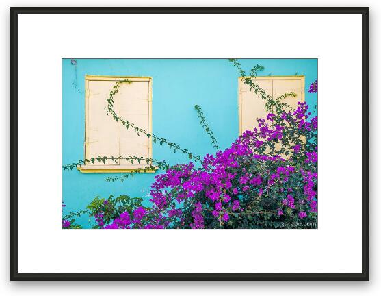 Windows and Flowers Framed Fine Art Print