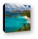 Blue Waters of Trunk Bay Canvas Print