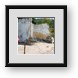 Buy Framed Print