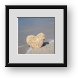 Buy Framed Print