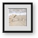 Buy Framed Print