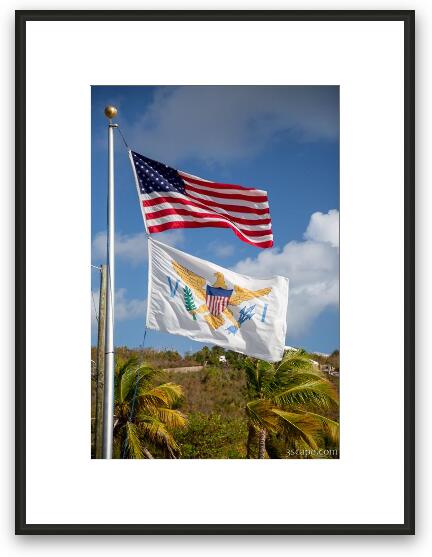 US and USVI Flags Framed Fine Art Print