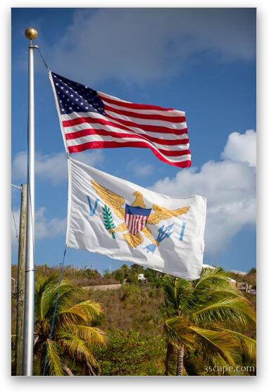 US and USVI Flags Fine Art Print
