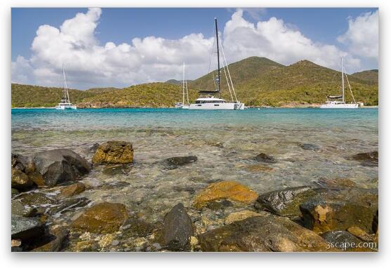 Sailboats in Salt Pond Bay Fine Art Print