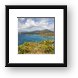 Buy Framed Print