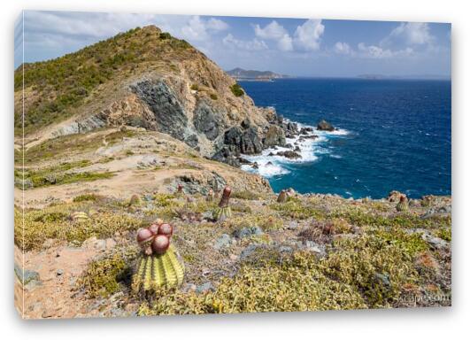 Cliffs at Ram Head Fine Art Canvas Print