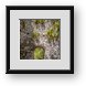 Buy Framed Print