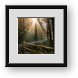 Buy Framed Print