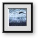 Buy Framed Print