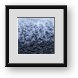 Buy Framed Print