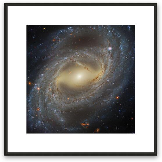 NGC 7329 Barred Spiral Galaxy in Tucana Framed Fine Art Print