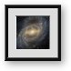 Buy Framed Print