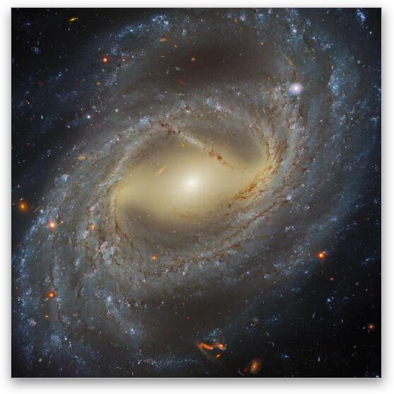NGC 7329 Barred Spiral Galaxy in Tucana Fine Art Metal Print