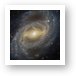 NGC 7329 Barred Spiral Galaxy in Tucana Art Print