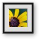 Buy Framed Print