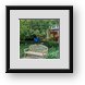 Buy Framed Print