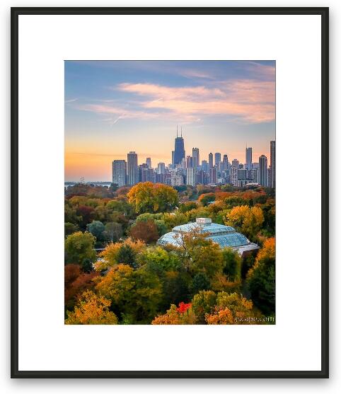 Lincoln Park Autumn Aerial Framed Fine Art Print