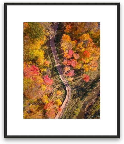Petrifying Springs Park Trail Framed Fine Art Print