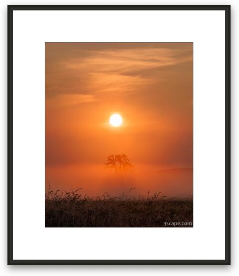 Sunrise in Hawk Hollow Framed Fine Art Print