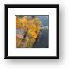 Buy Framed Print