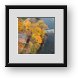 Buy Framed Print