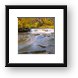Waterfall Glen, Lemont, IL Framed Print